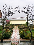Кованая арка №41 в Екатеринбурге фото
