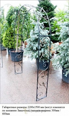 Кованая арка №3 в Екатеринбурге фото
